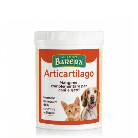 ARTI CARTILAGO